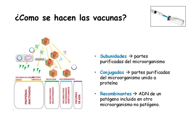 NOCHE-INVESTIGADORES-2018-NANOVACUNAS-005